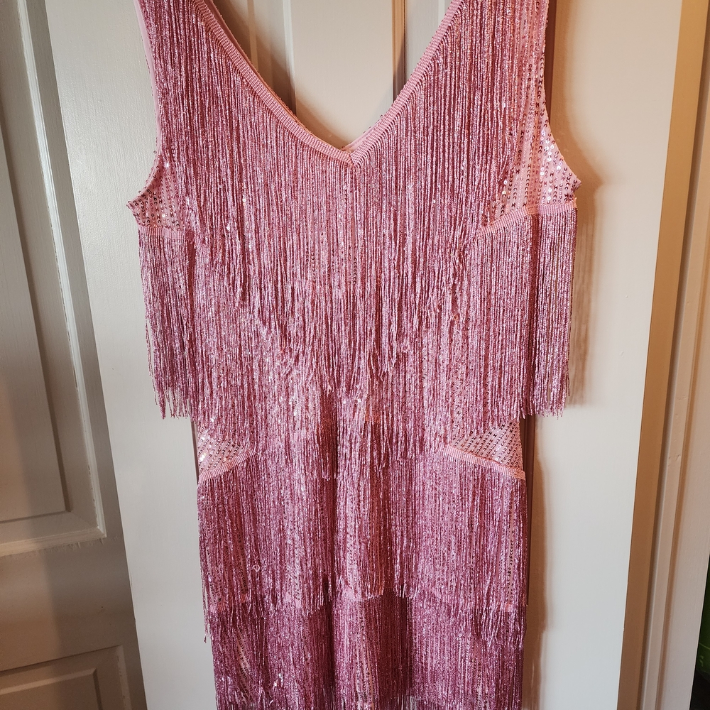 Pink Fringe Sequin Dress